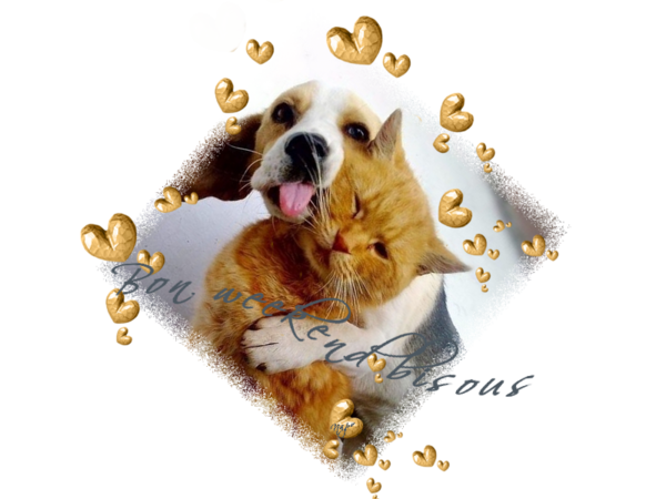 Petit cadeau pour mes amies et visiteurs