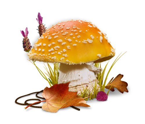 clipart gratuit automne - photo #47