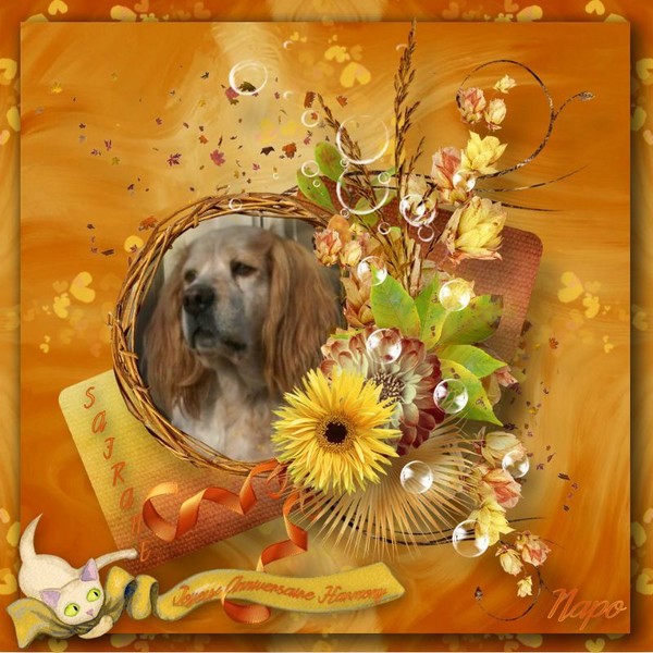 Petit cadeau d'anniversaire pour Harmony et de Safrane