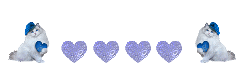 Coeur_bleue_anime_et_chat_Napo