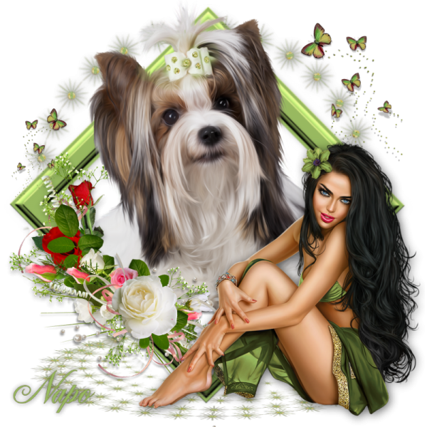 Creat_Napo_Printemps1_png_1