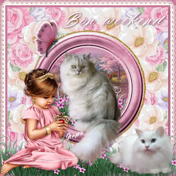 Creat_napo_bon_weekend_du_23_fevrier