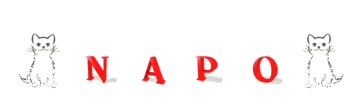 Debut_signature_rouge_napo_retourneechat2