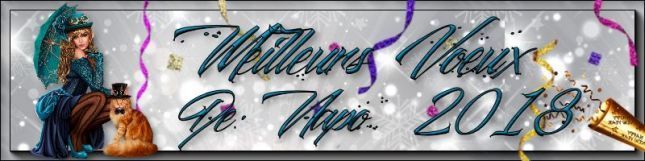 Signature_Meilleurs_voeux_napo1_1