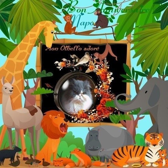 Cadeau de Chantal67,merci