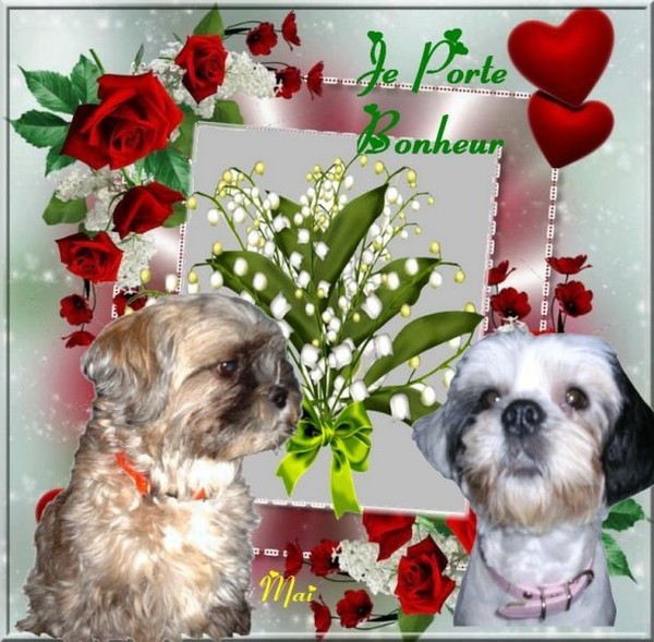 Chez mon amie Papillonvolant,merci