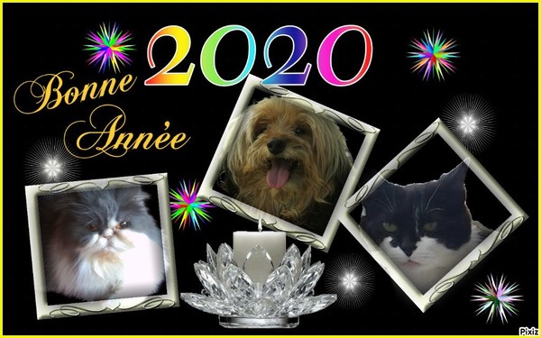 Merci Brigitte pour ce joli  cadeau