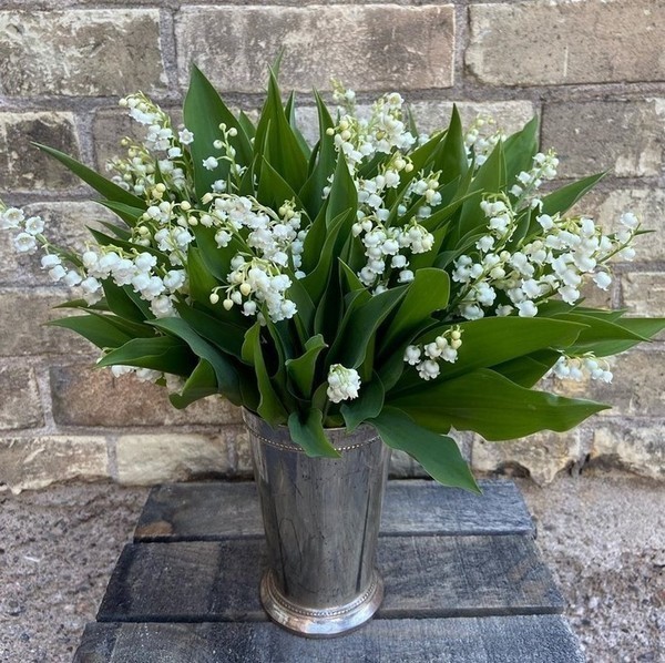 Chez mon amie Zezette2,merci